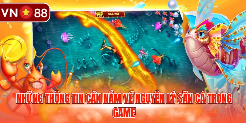Những thông tin cần nắm về nguyên lý săn cá trong game